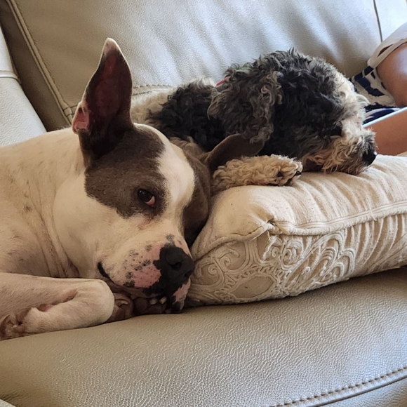 Welcome to my Closet! 💐 - Picture 7 of 14